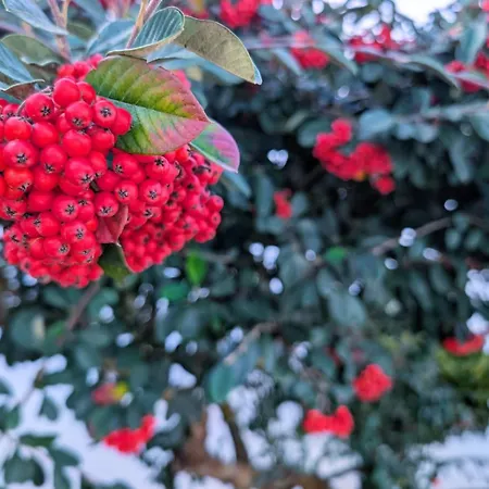 Gæstehus Onda Atlantica - Atlantic Wave 3*