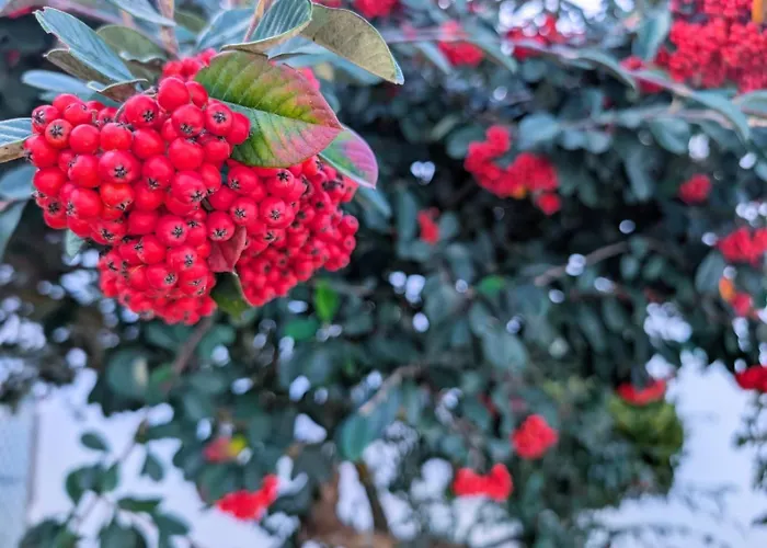 Gasthuis Onda Atlantica - Atlantic Wave 3*