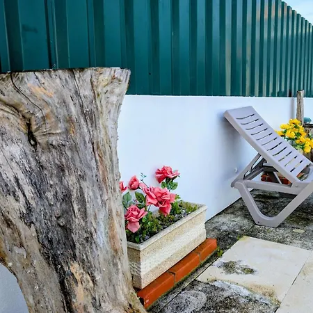 Onda Atlantica - Atlantic Wave פניש