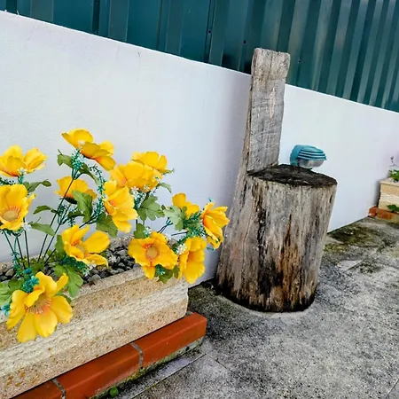 Onda Atlantica - Atlantic Wave 3* פניש