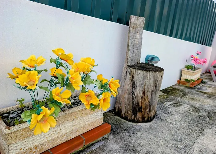 Onda Atlantica - Atlantic Wave 3* 페니케